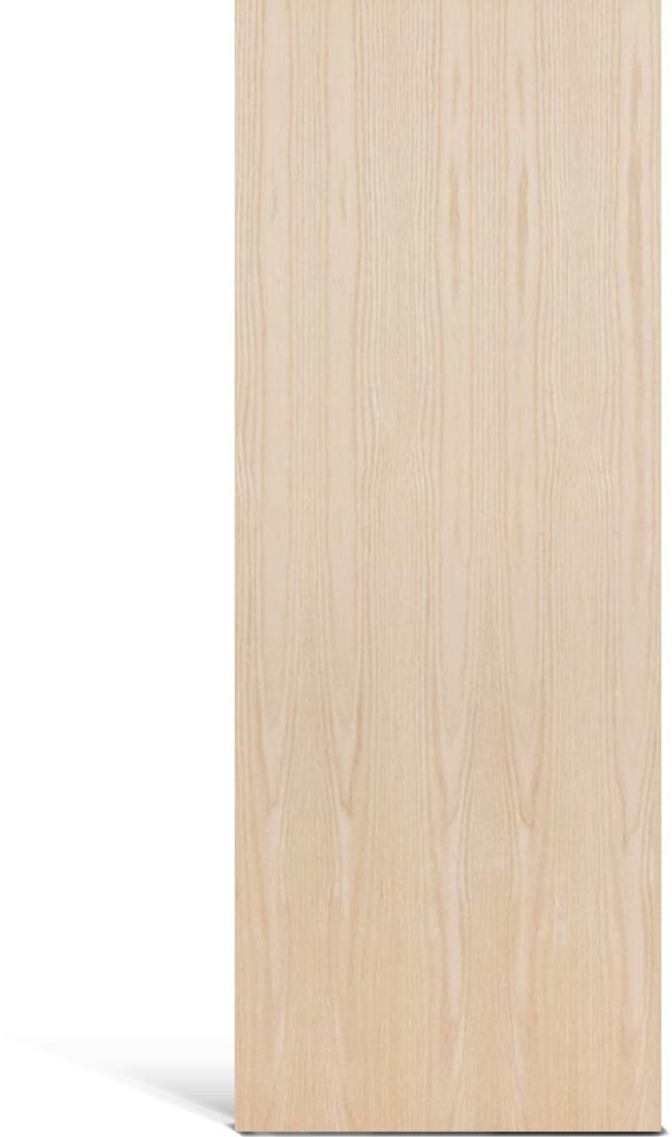 Flush_Doors
