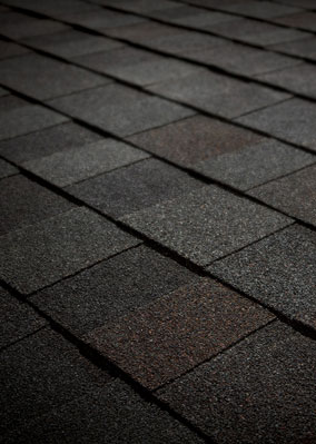 heritage—black-walnut-(frederick)